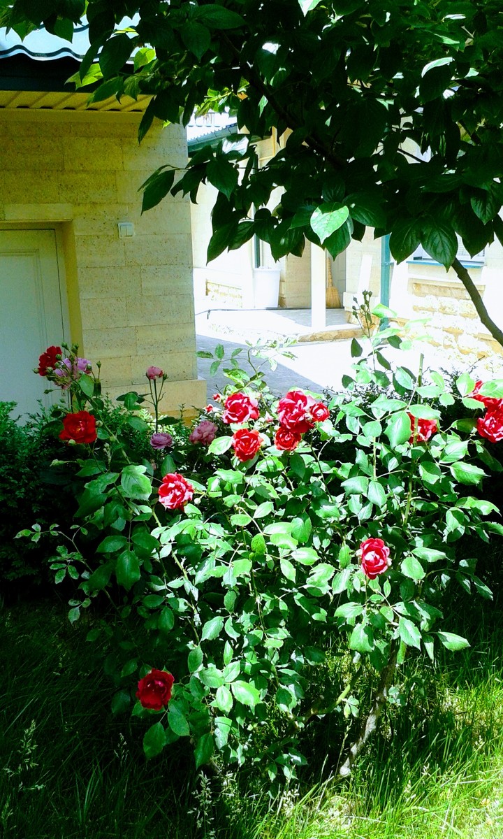 Sunny morning in South Dagestan