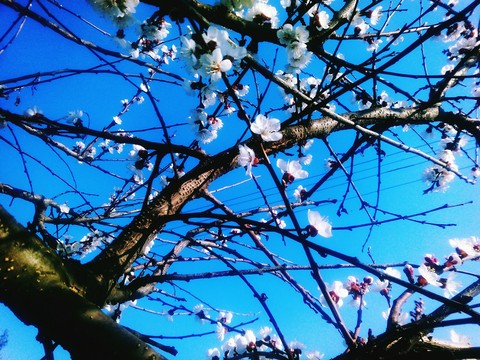 spring time