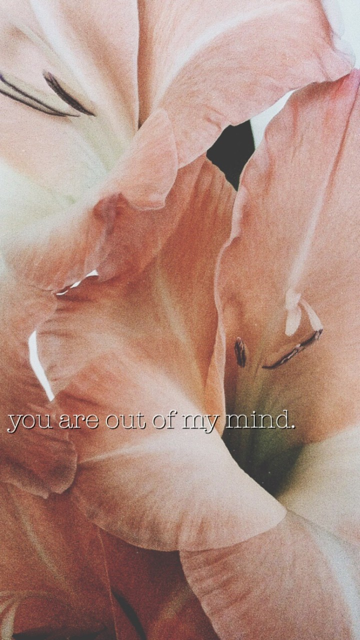 You are out of my mind