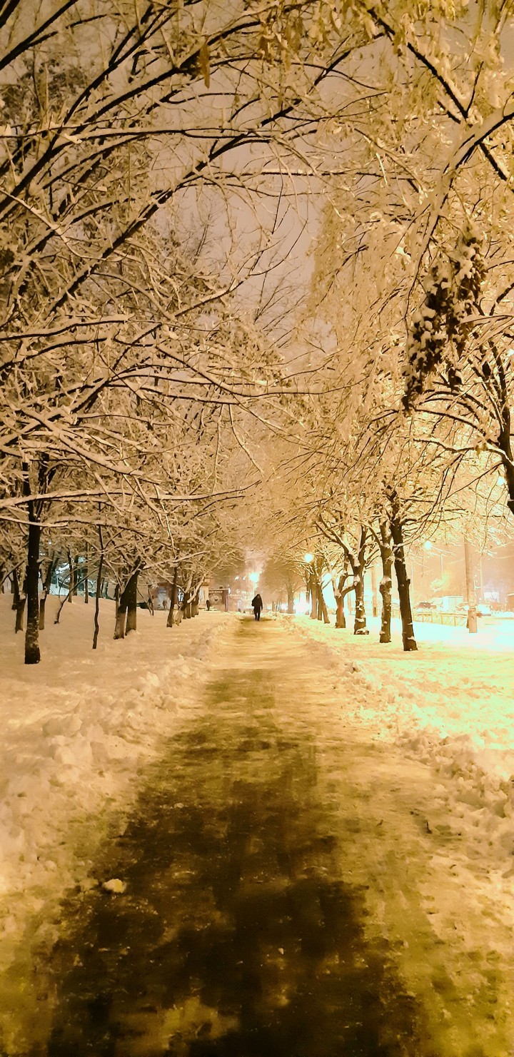 Snowy Kiev