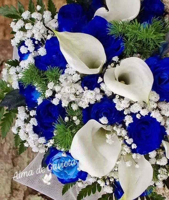 MIS FLORES DE HOY ?️