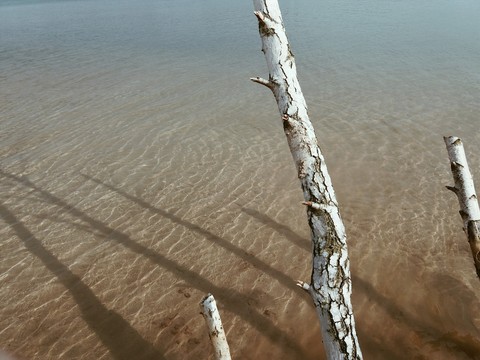 water