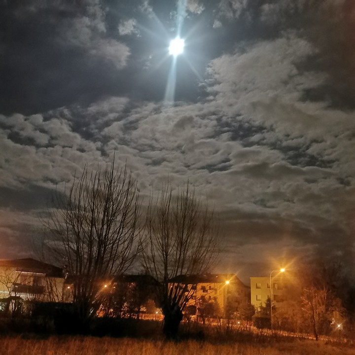 Almost spring night