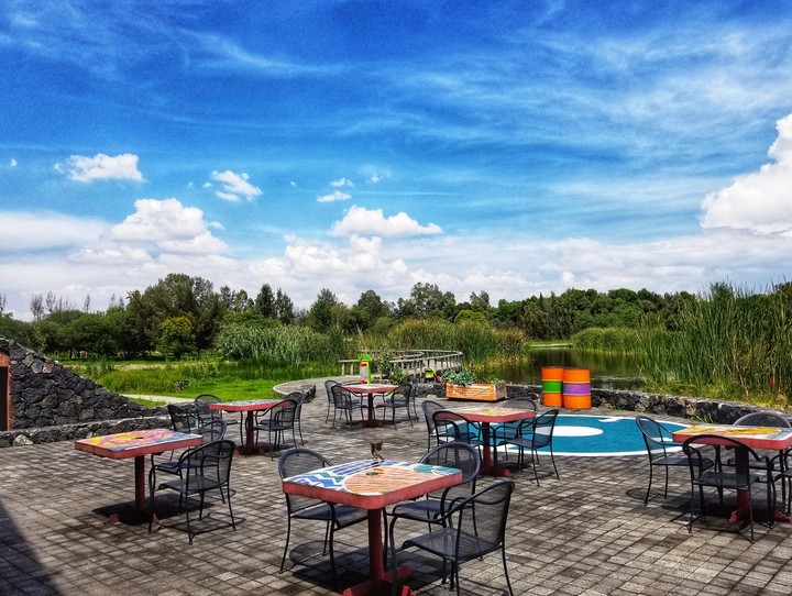 DESCANSO, LAGO DE XOCHIMILCO, MÉXICO.