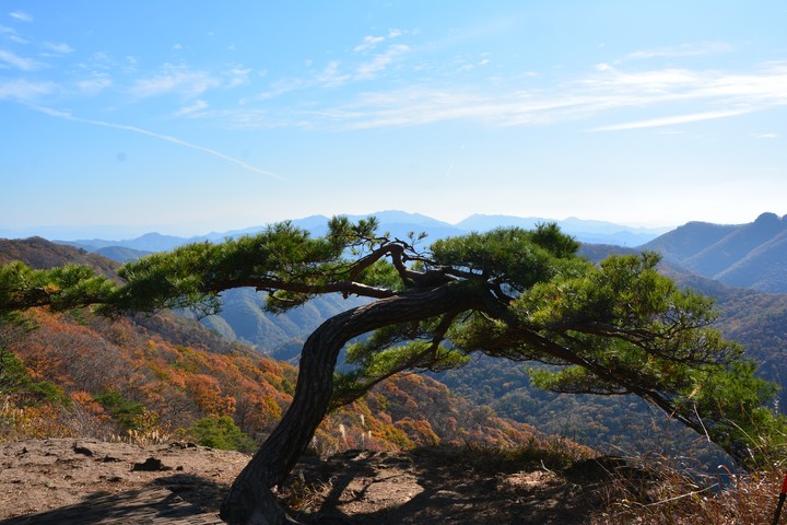풍경이미지