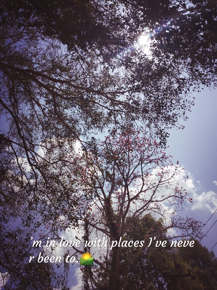 Nature