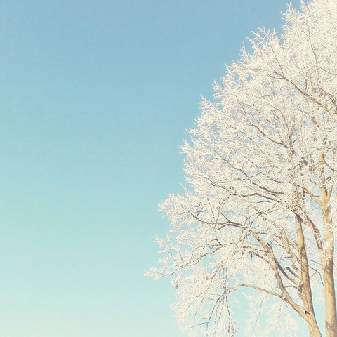 #winter#letitsnow