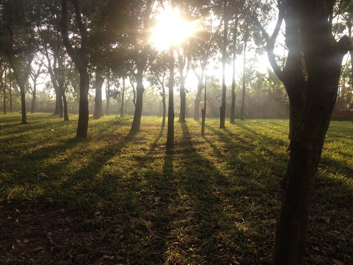 park