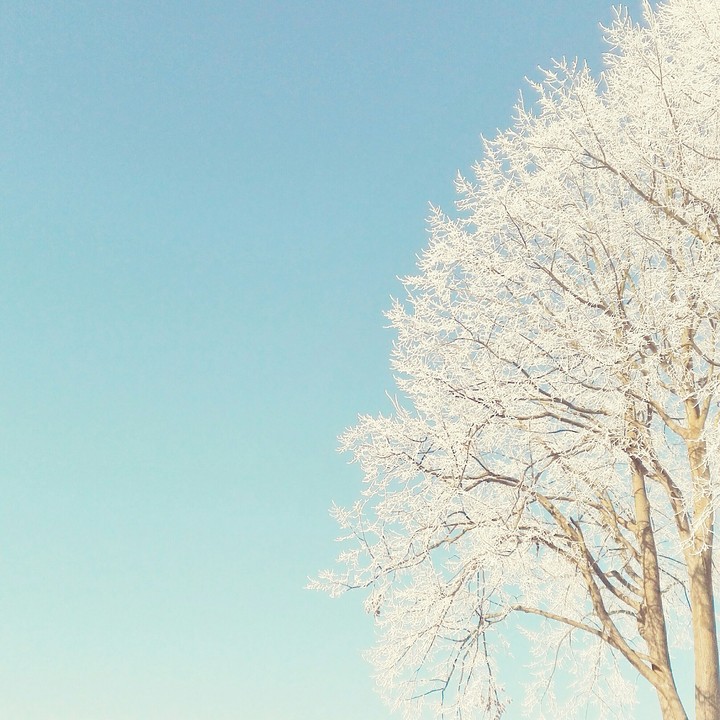 #winter#letitsnow