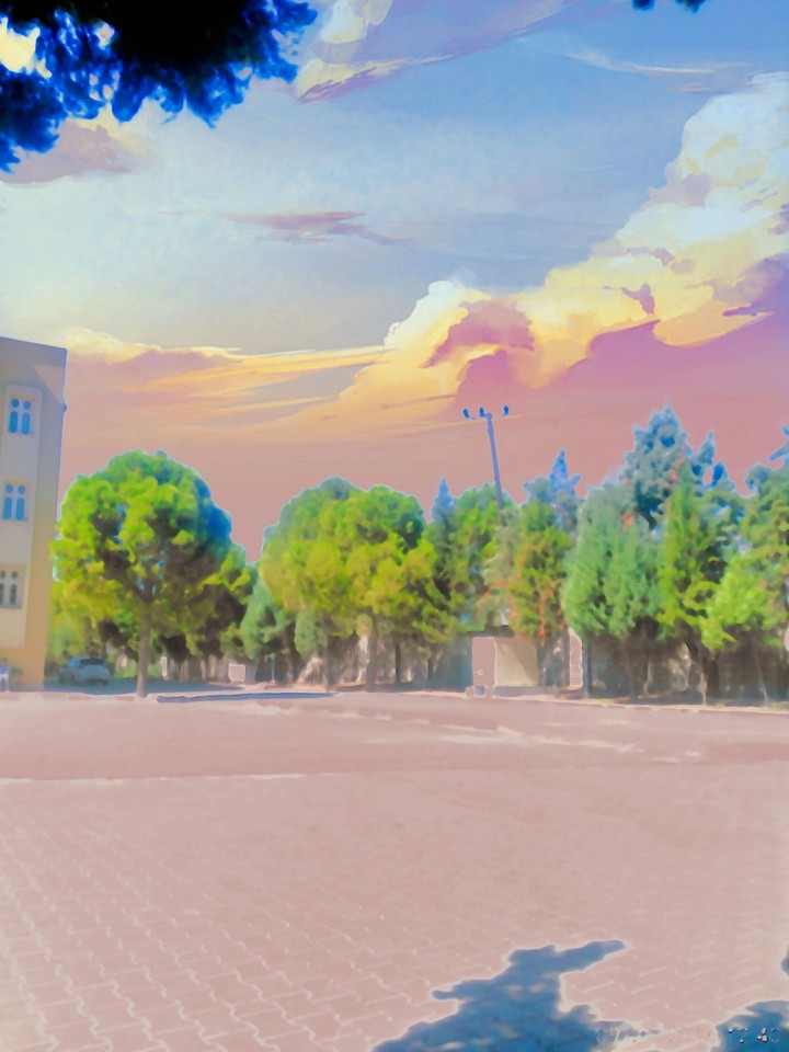 trees beauty