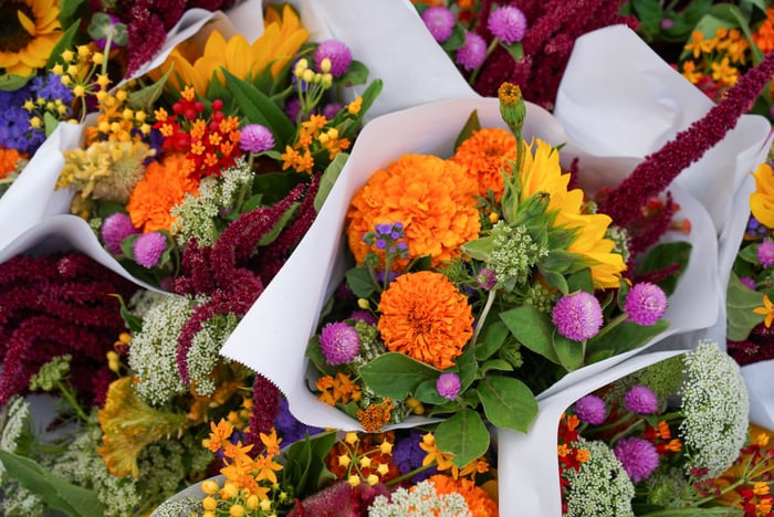 anubhuti didi for  you