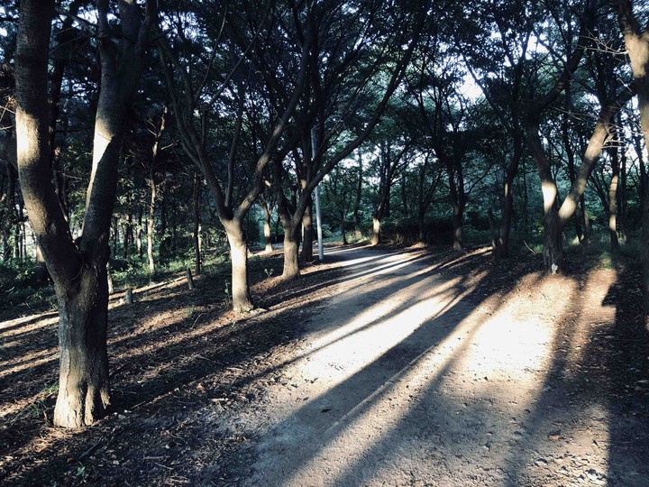 Pathway.