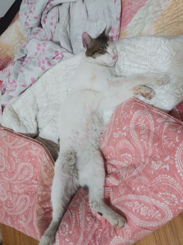 안뇽~♥
