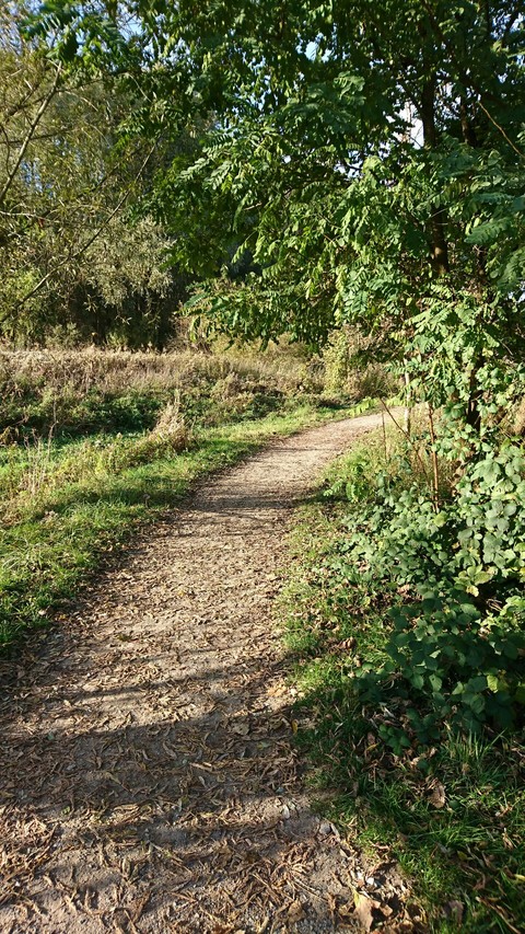 way to nowere