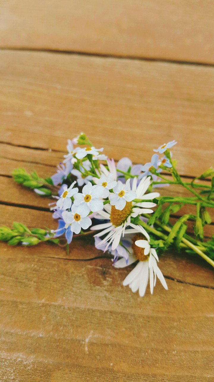 flowers
