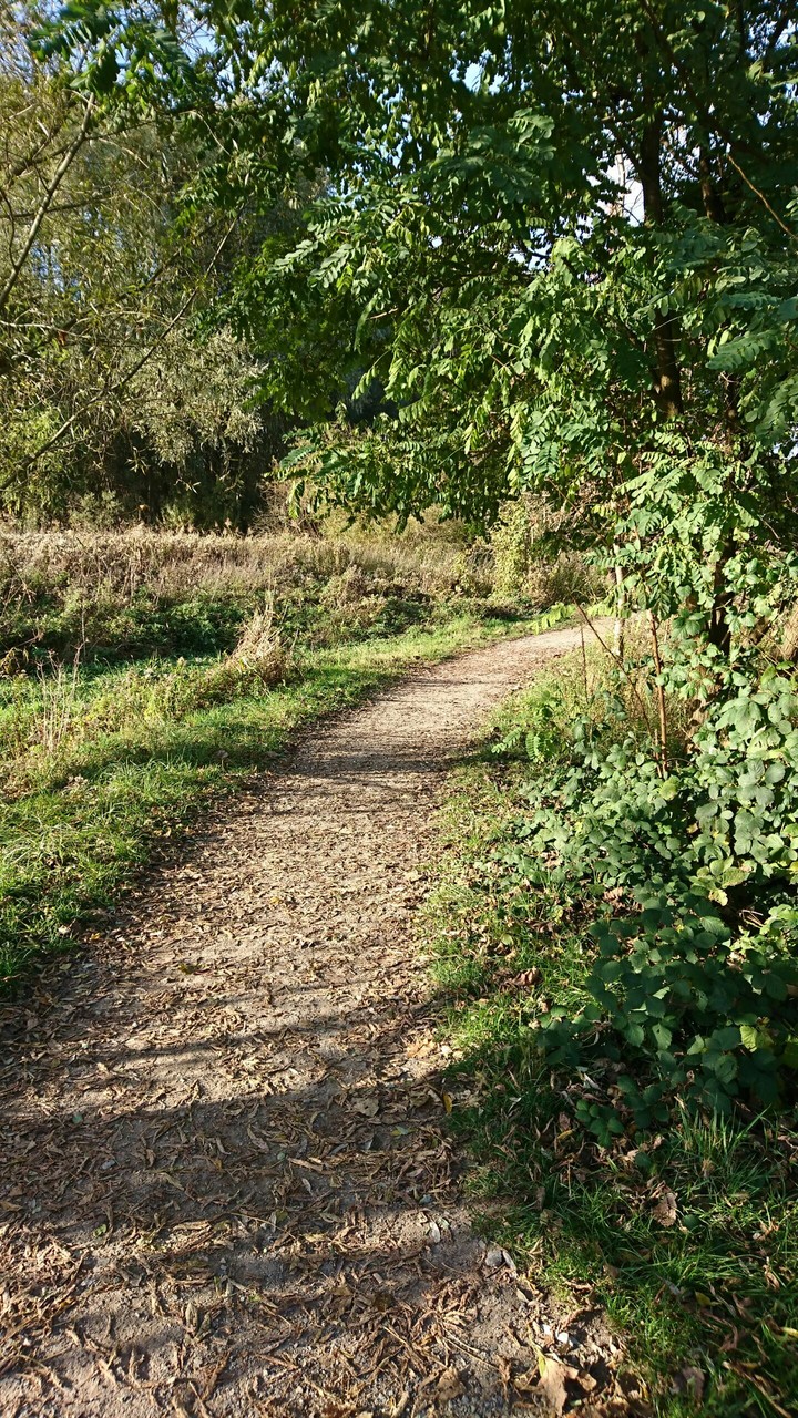 way to nowere