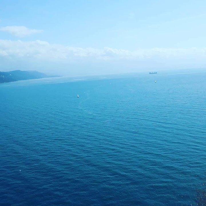 Duino
