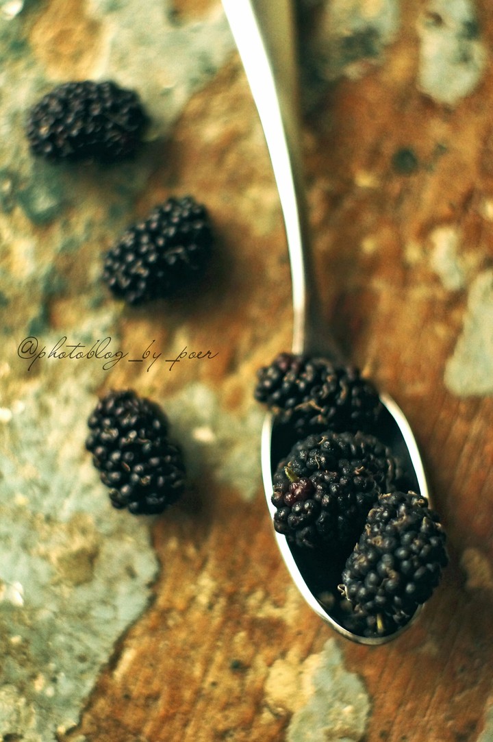 Berries