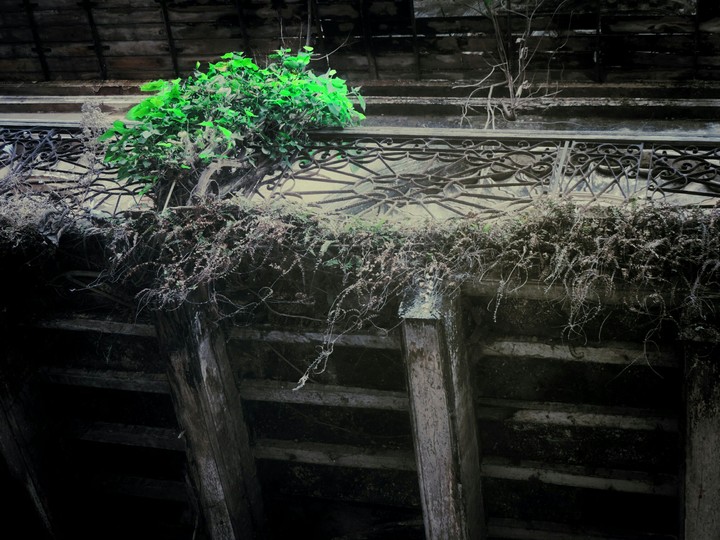 life in the dead....