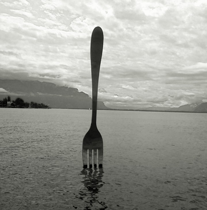 VEVEY DREAMS