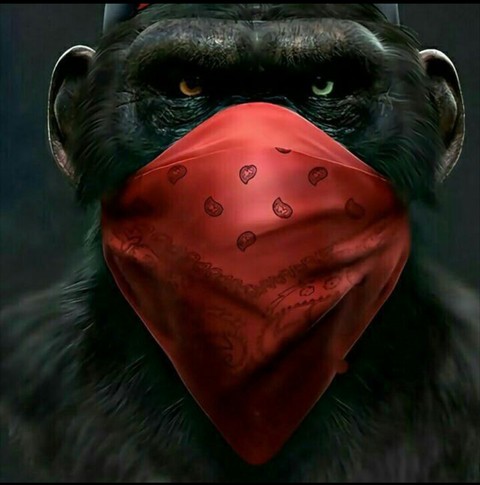 vertebrate, Face वॉलपेपर