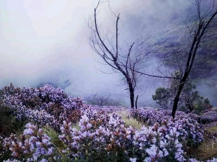 Incredible India