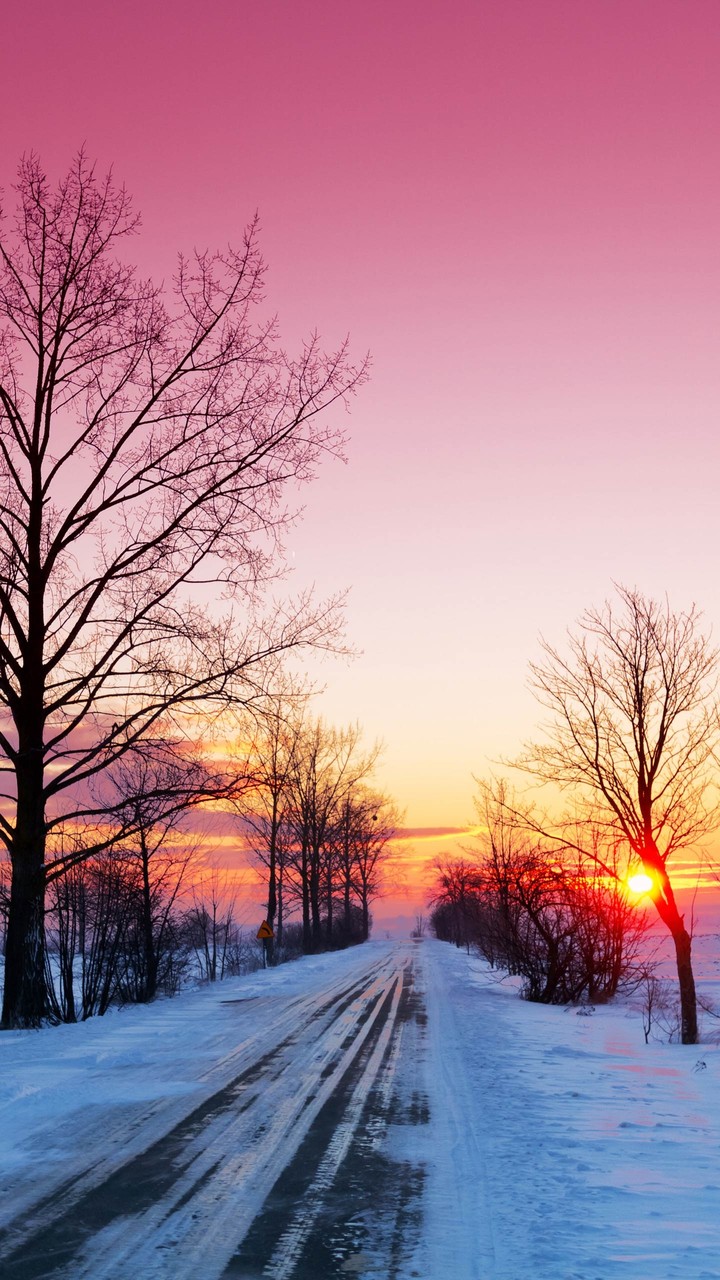 beautiful sun