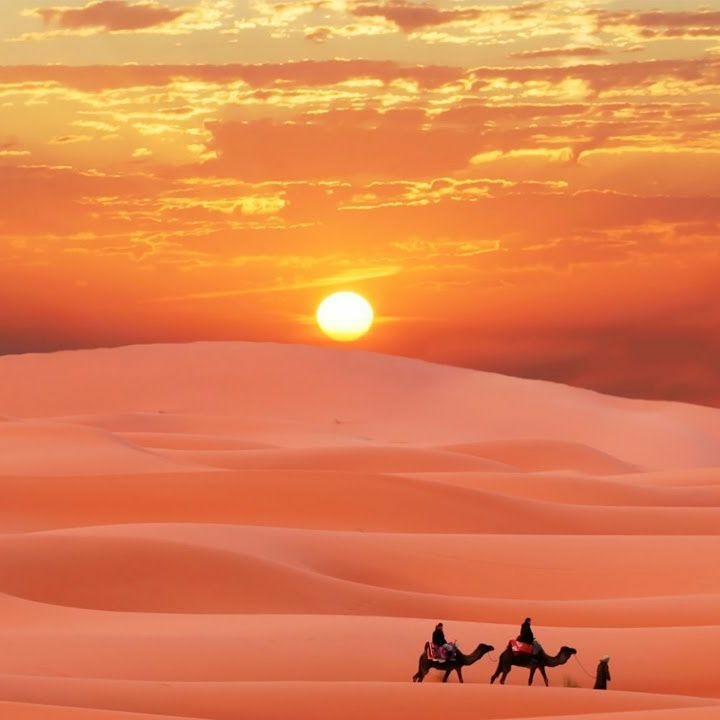 desert