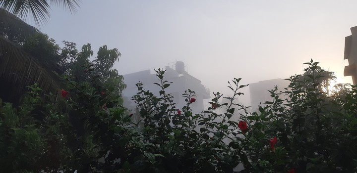 morning fog