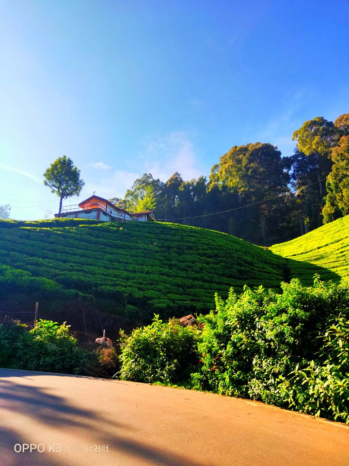 green hill