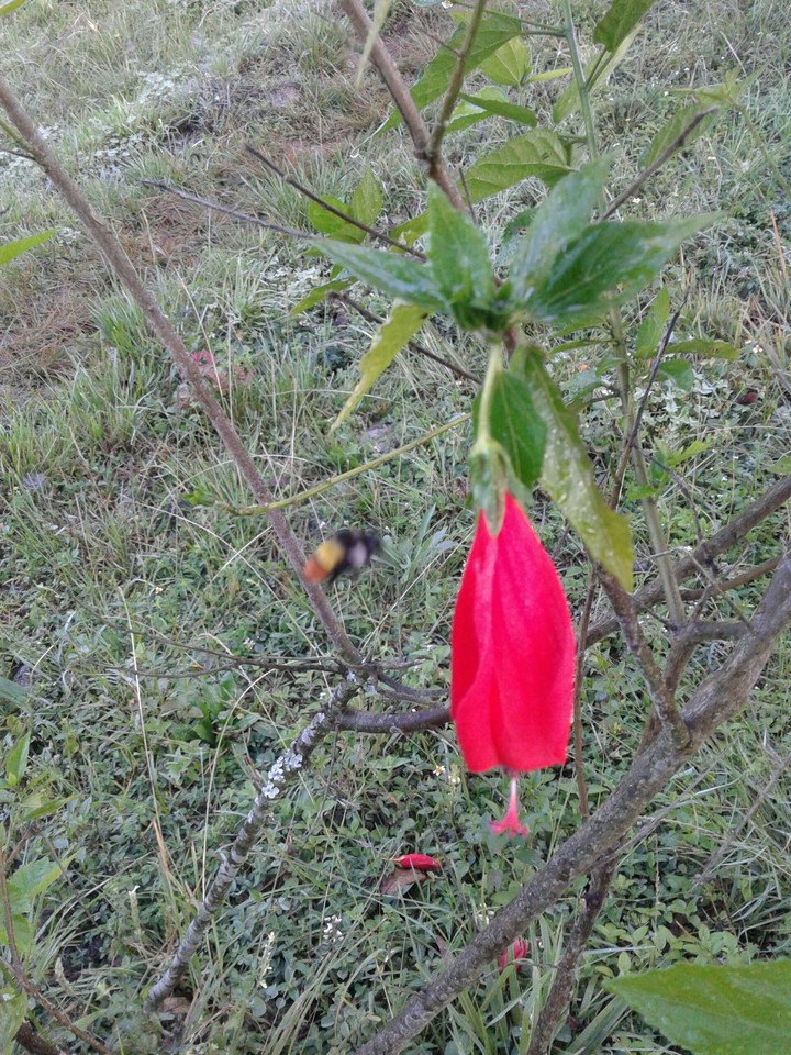 nature lovers