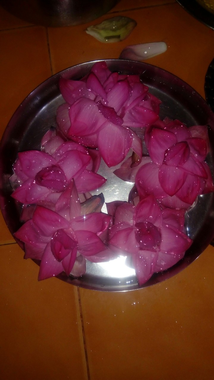 #tradition #india #lotus #pooja #navratri #blessed #flower