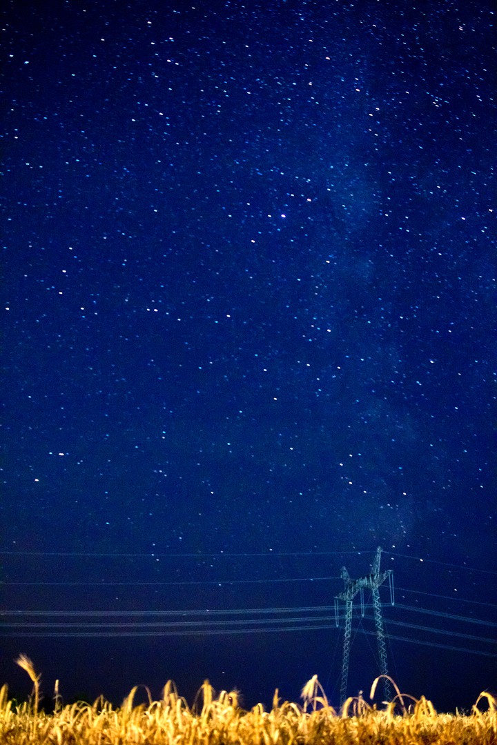 stars
