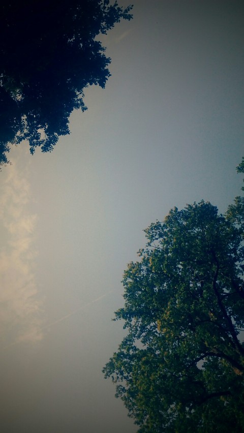 Freedom
