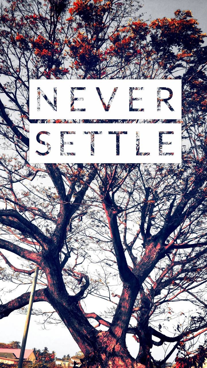 never settled