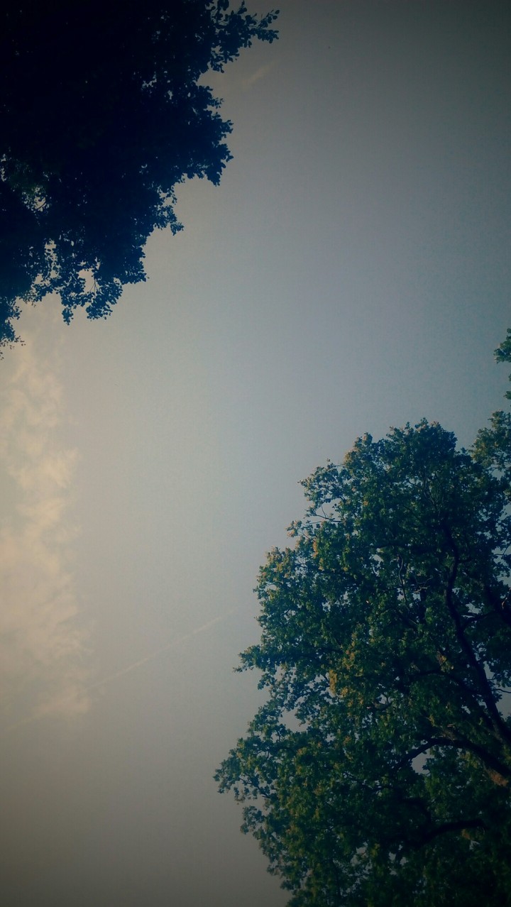Freedom