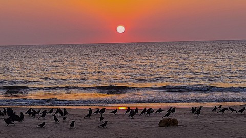 Sunsets