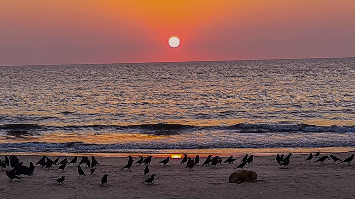 Sunsets