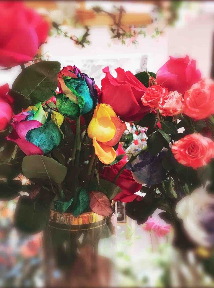rainbow flower2
