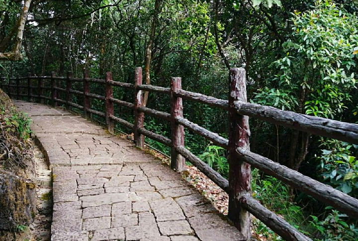 #nature love