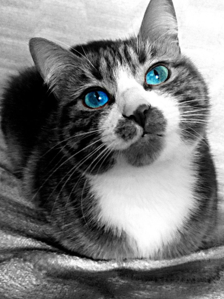 She is Mina :)