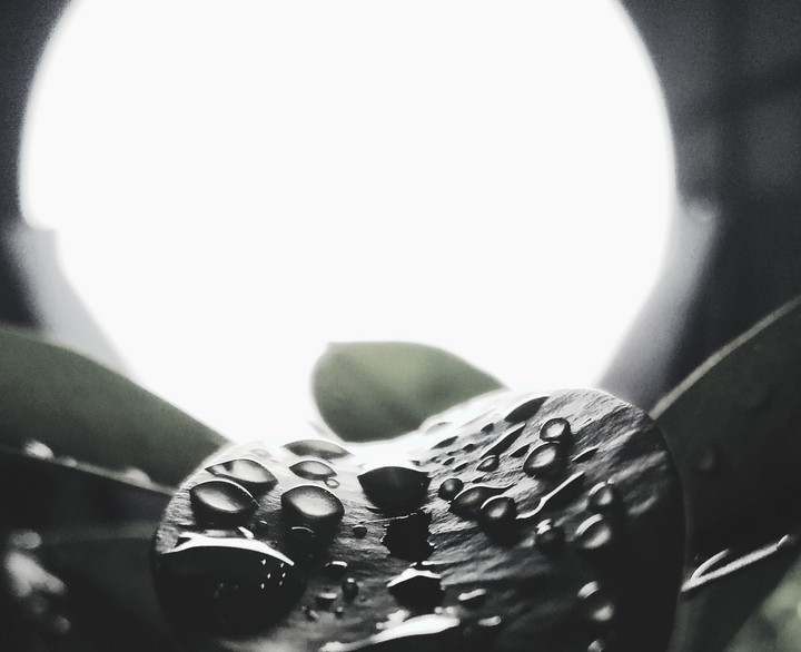 rain#waterdrops#lamp#night#mobilephotography 