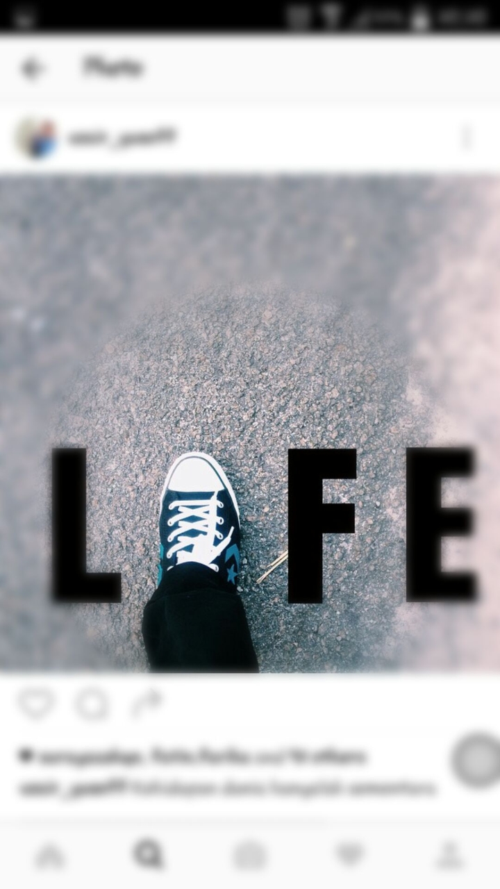THE LIFE