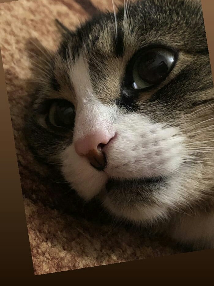 кооотиик