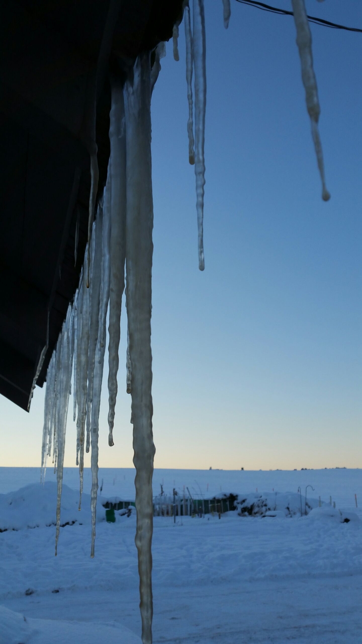 Winter in Washington