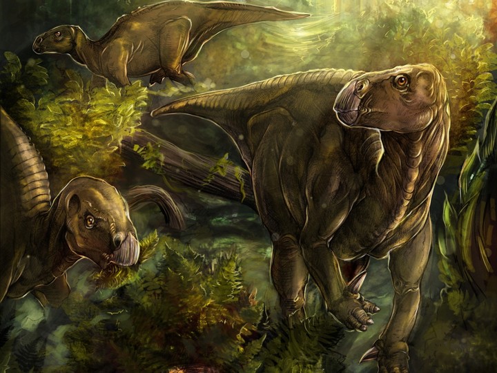 maiasaura family