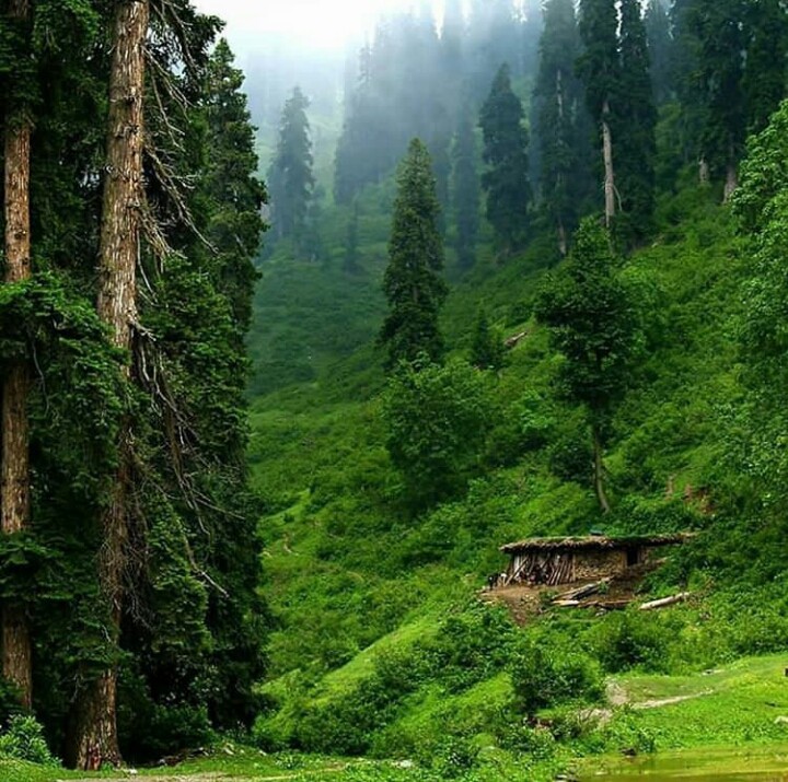 SAWAT PAKISTAN??