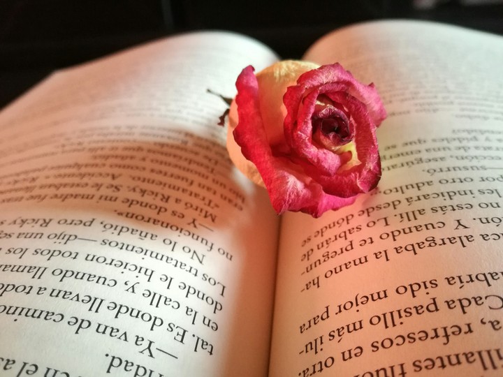 libro abierto