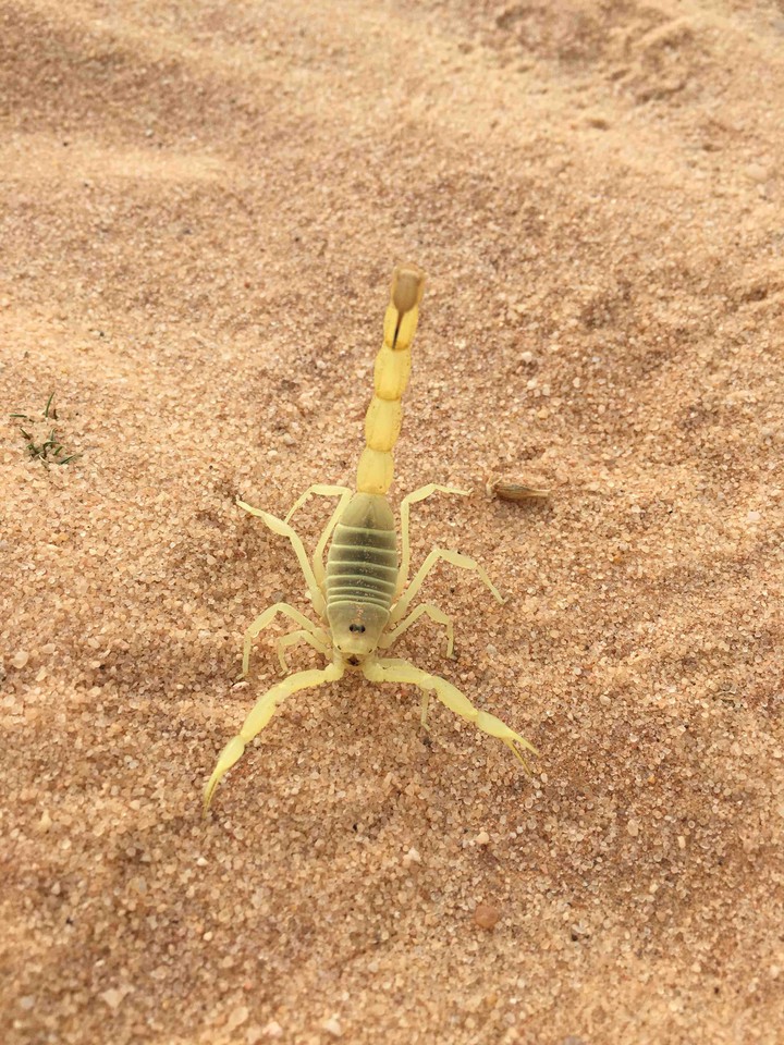 الجبل 2