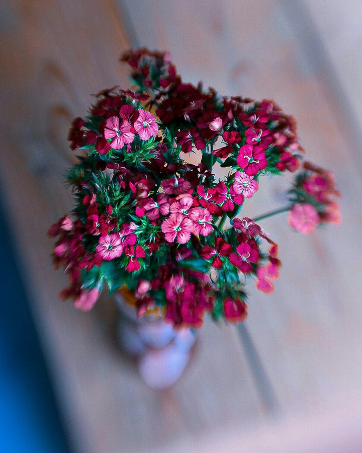 #Beautiful Spring Tuesday